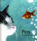 Pets_in_pictures